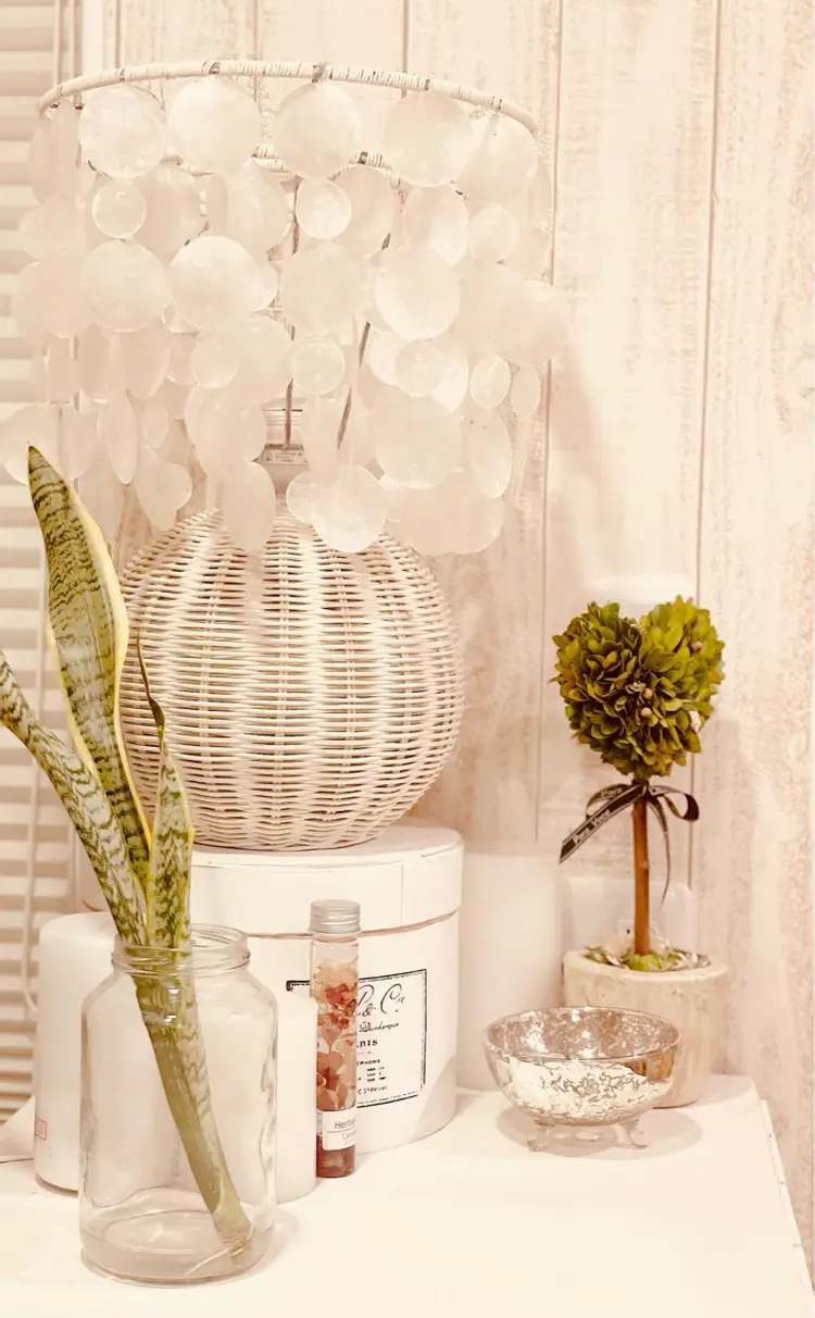 loaの内観・外観3