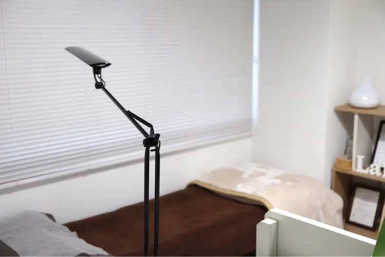 cils de LAPINの内観・外観1