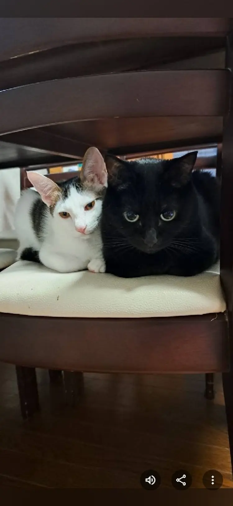 ヘルシーヘアーリターンの内観・外観3