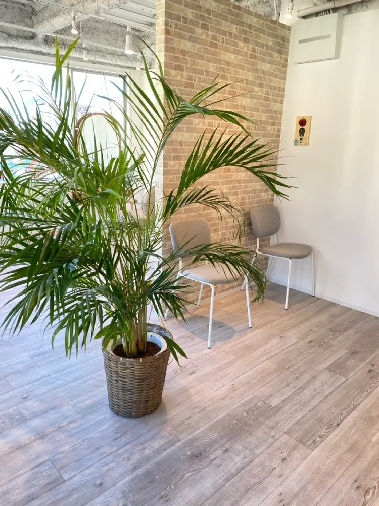 Lisse hairの内観・外観1