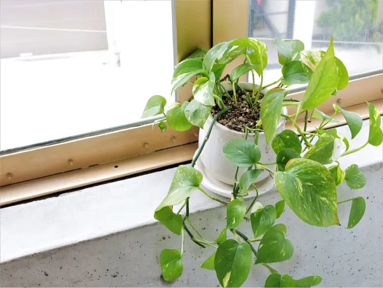 MORETHAN整体の内観・外観3