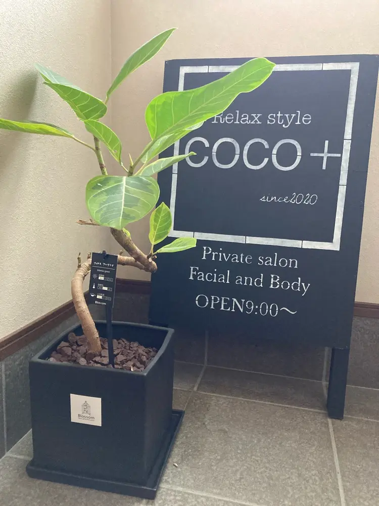 Relax style COCO+(ココプラス)の内観・外観3