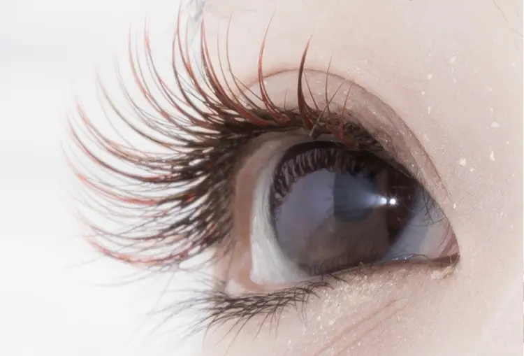 Eyevyの内観・外観2