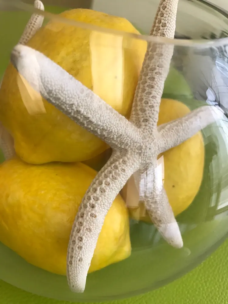 🍋レモンケーキ🍋の内観・外観3