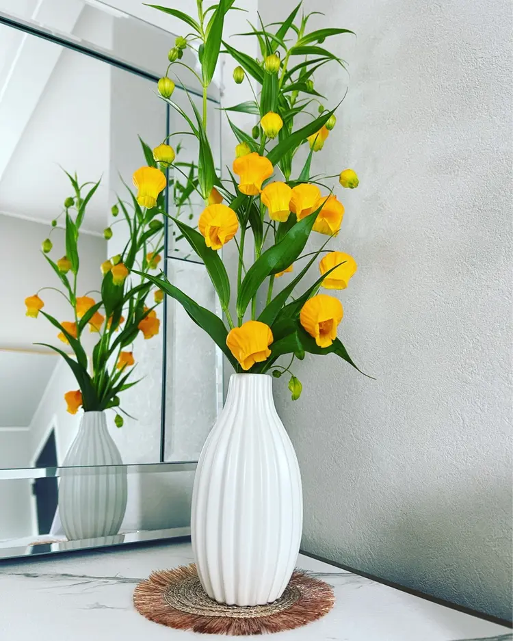 kirannuの内観・外観3