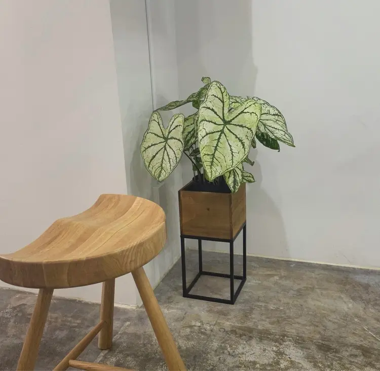 astarの内観・外観2