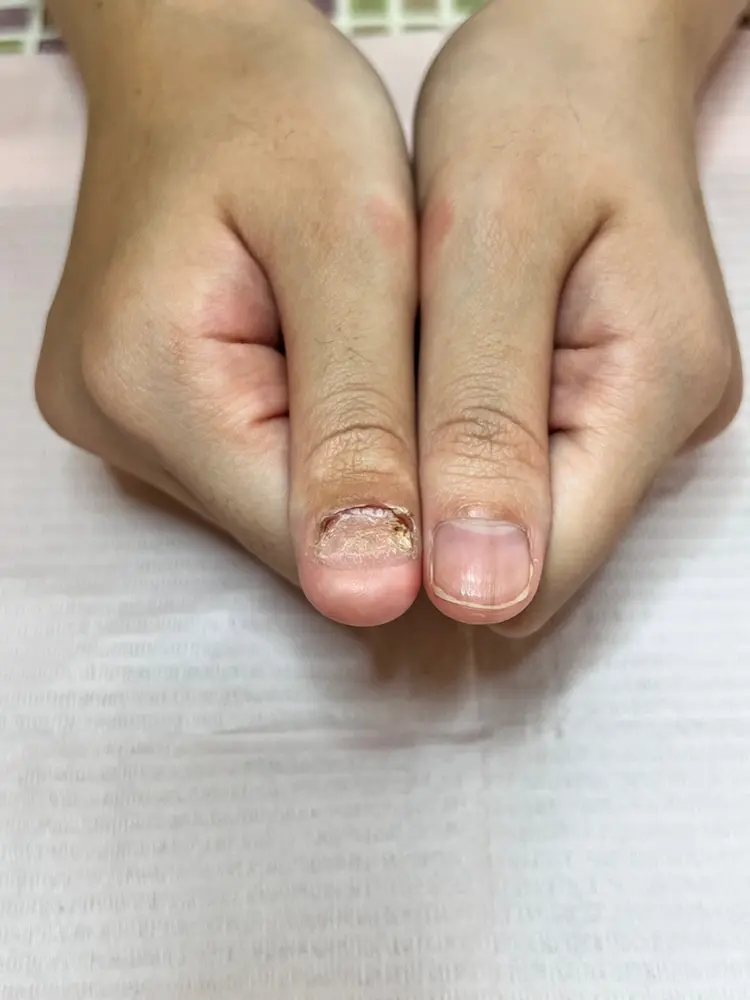 nail salon Tree Topの内観・外観2