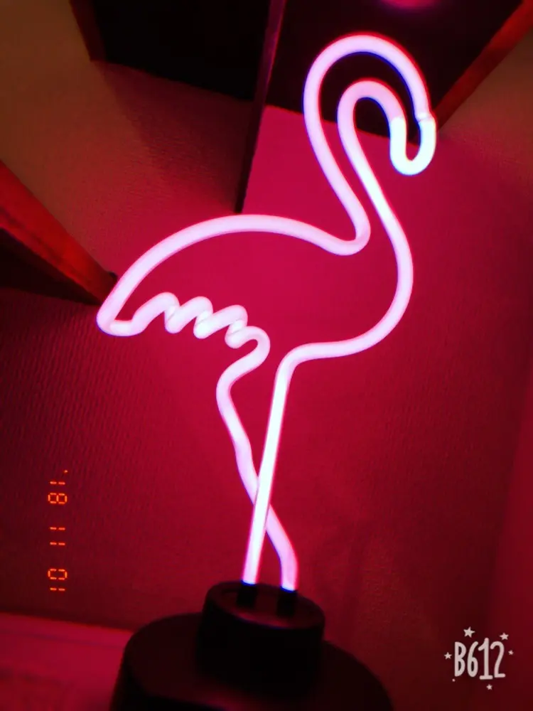 midnightrushの内観・外観3