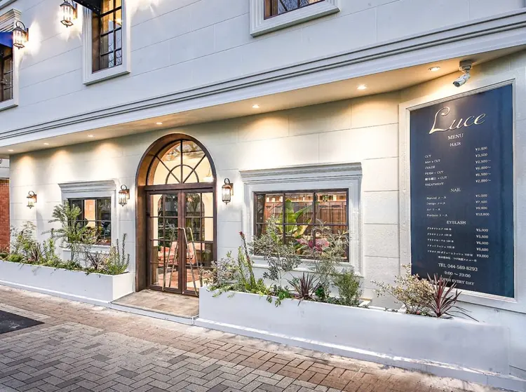 Luce川崎の内観・外観1