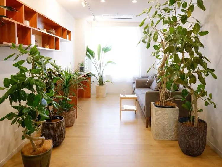 ケアサロントトノエドコロの内観・外観1