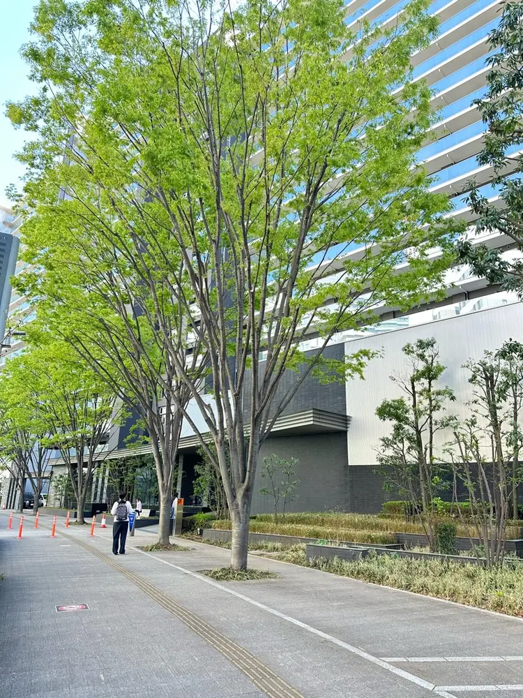 nailsalon tinyの内観・外観1