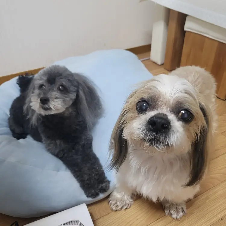 SU.nailの内観・外観3