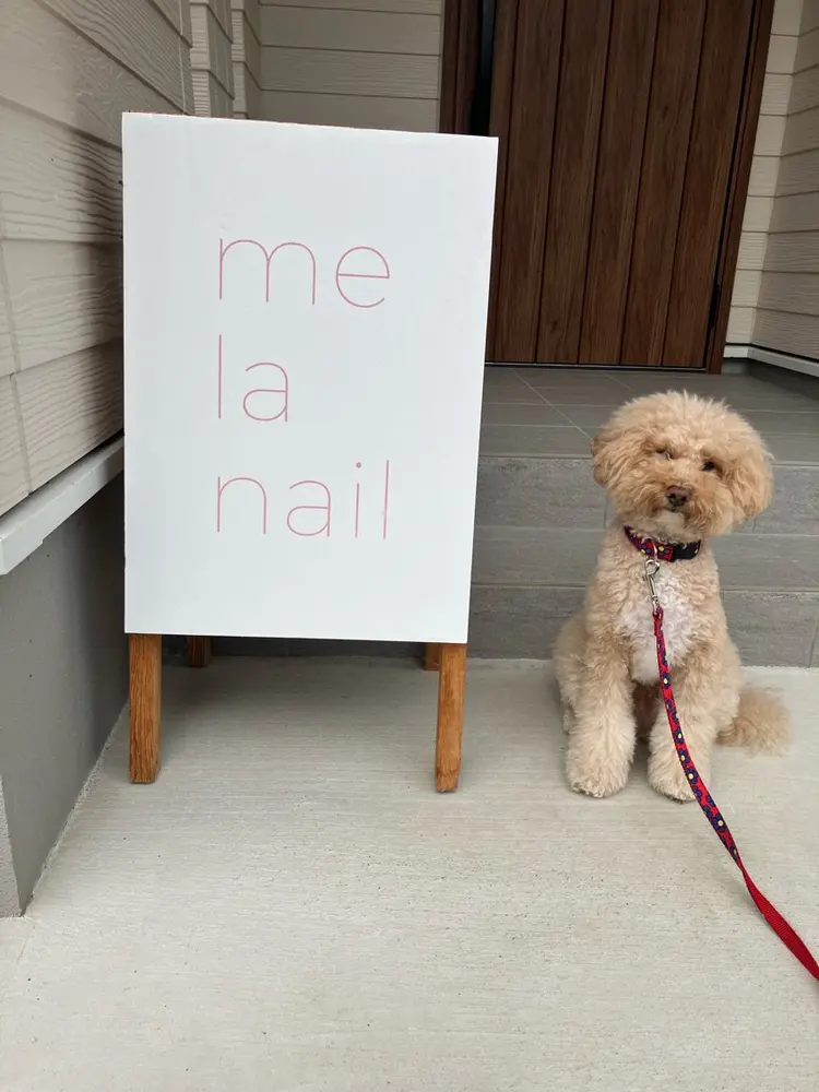 メラネイルの内観・外観3