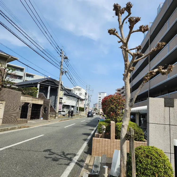 Thetisの内観・外観3