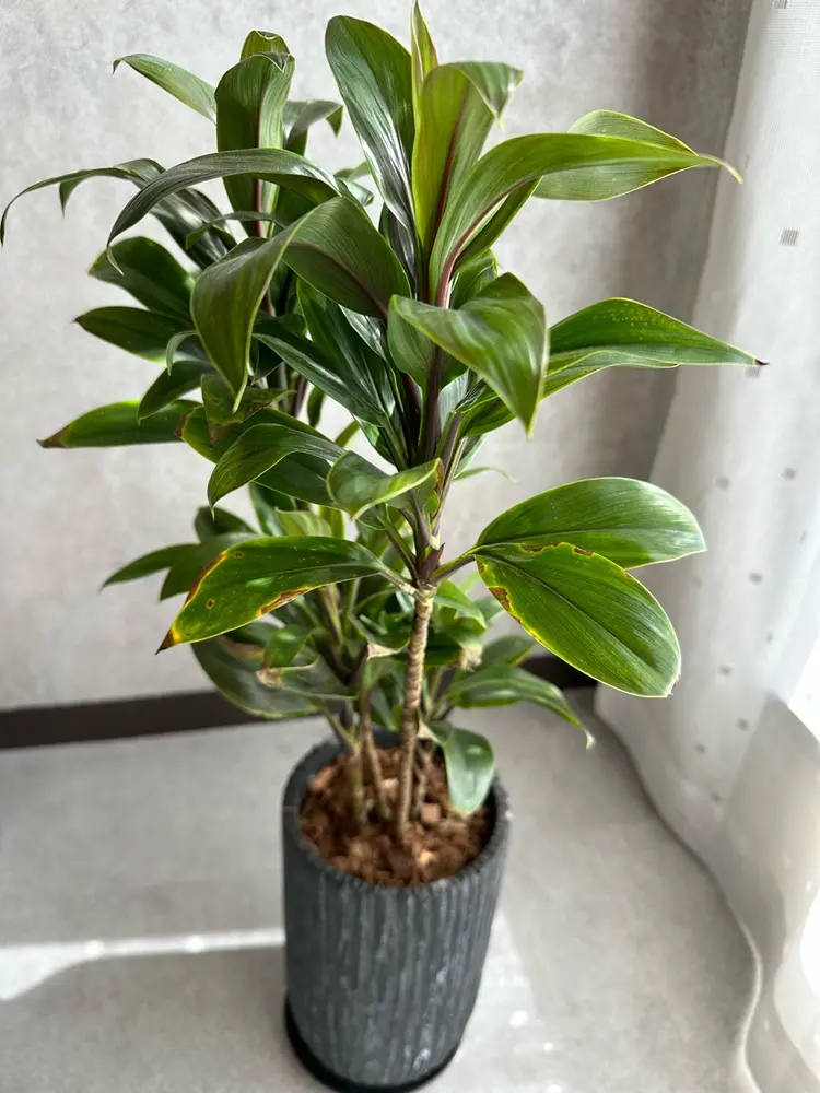 深爪矯正専門店ネイルサロンKUUの内観・外観2