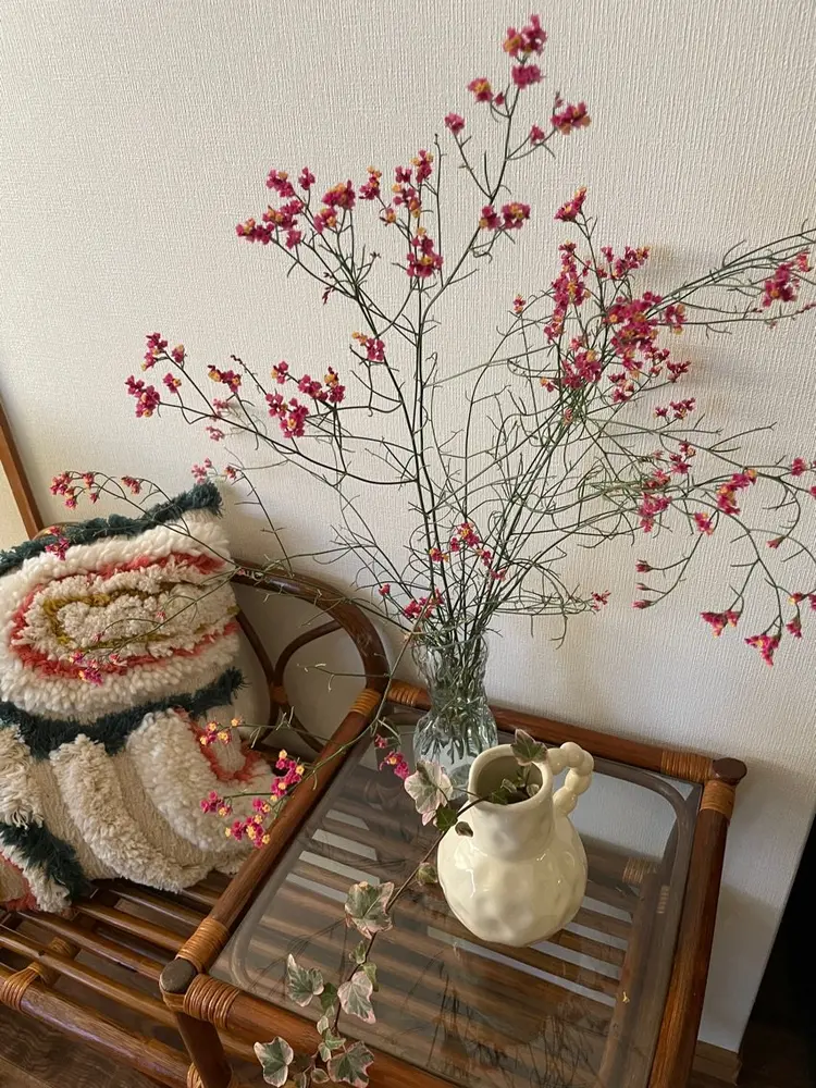 achoeの内観・外観2