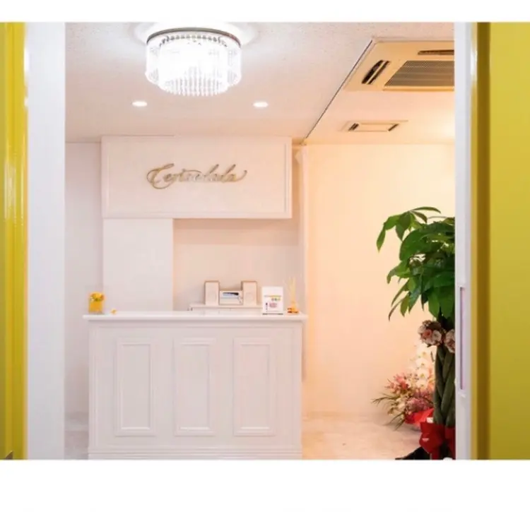 Cerise La La(スリーズララ)の内観・外観1