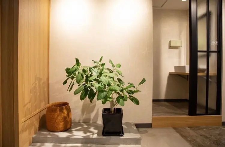 COMMUOVERE瓢箪山店の内観・外観2