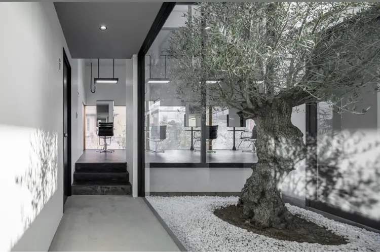 in  chelseaの内観・外観2