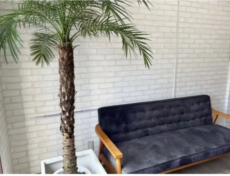 ARTEMISの内観・外観2