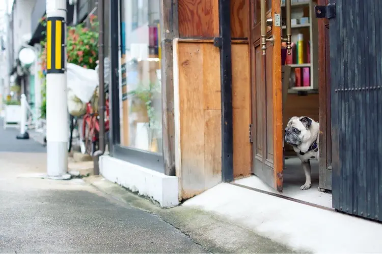 AMILIの内観・外観3