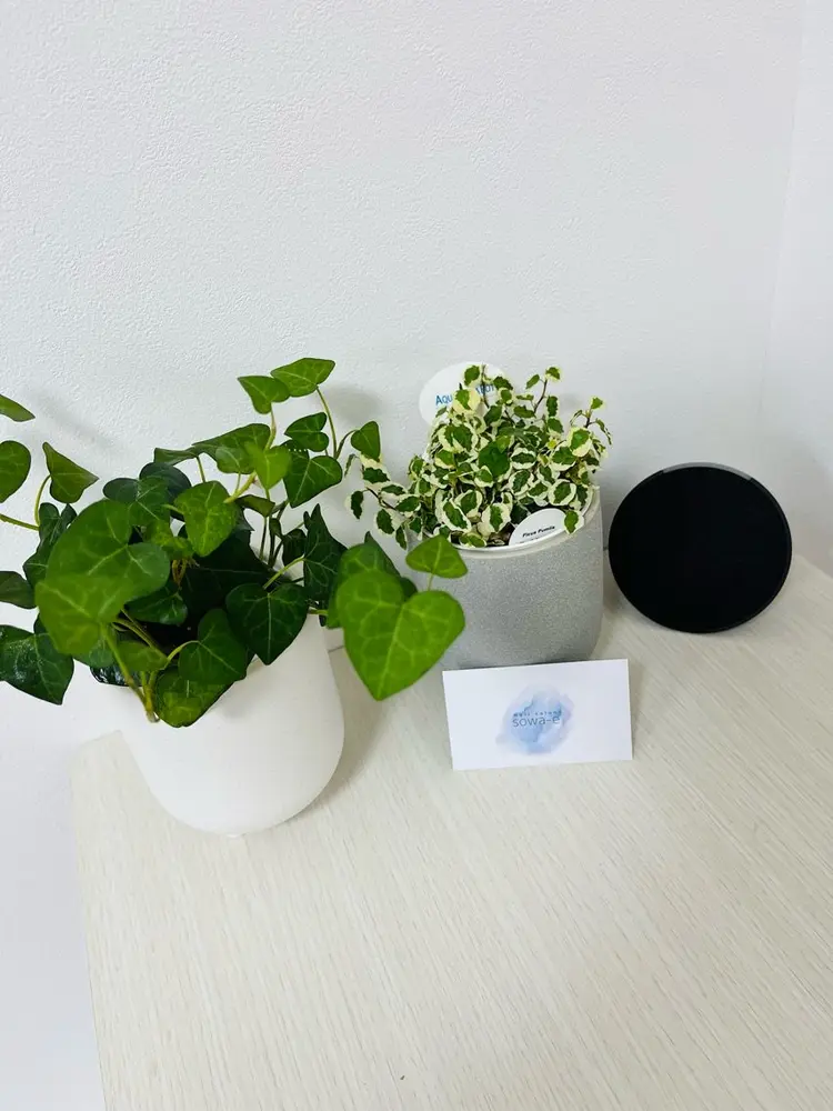 Nailsalon sowa-eの内観・外観2