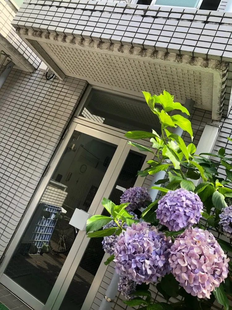 meehoの内観・外観1