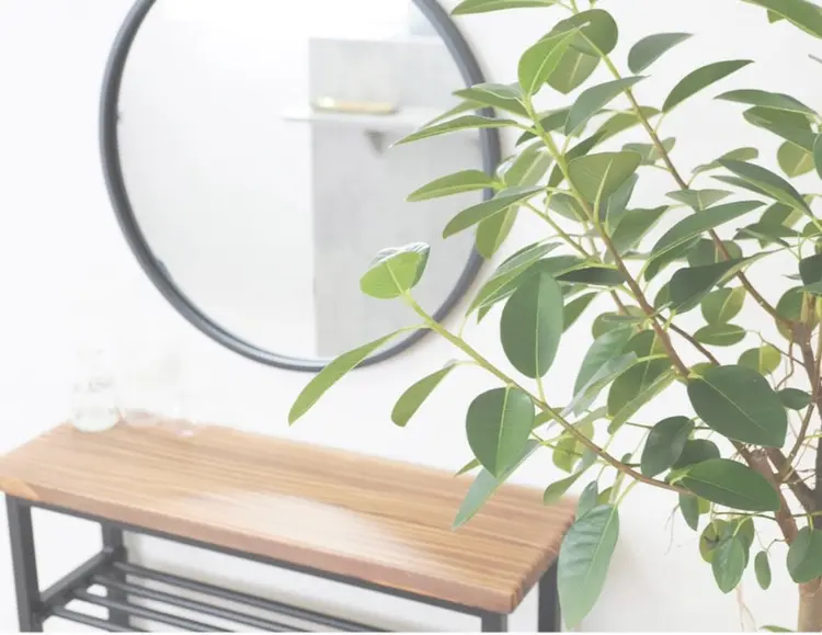 ulu【ウル】の内観・外観2