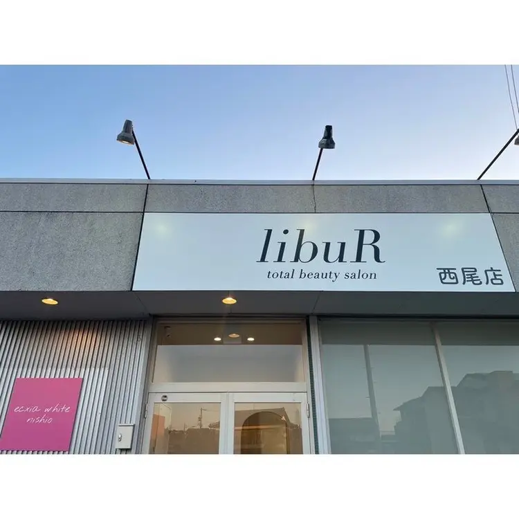 エクシアホワイト西尾の内観・外観2