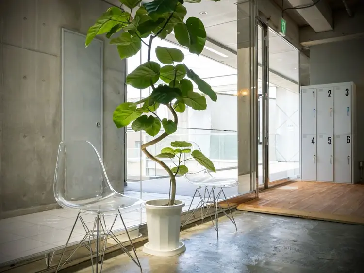 Diceの内観・外観2