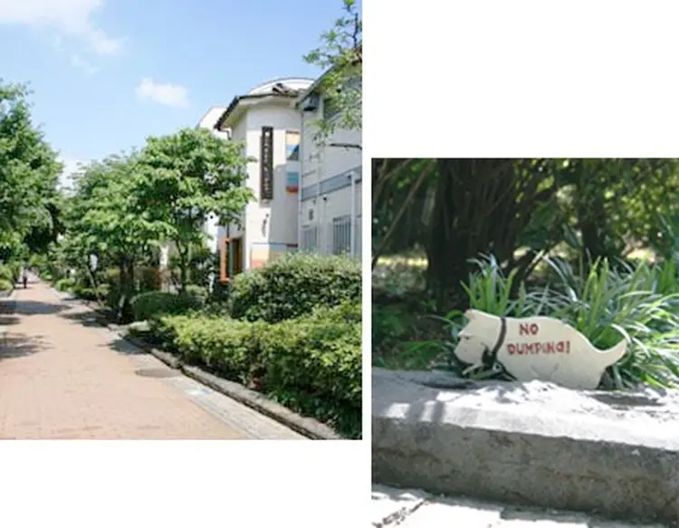 maruco   potchの内観・外観2