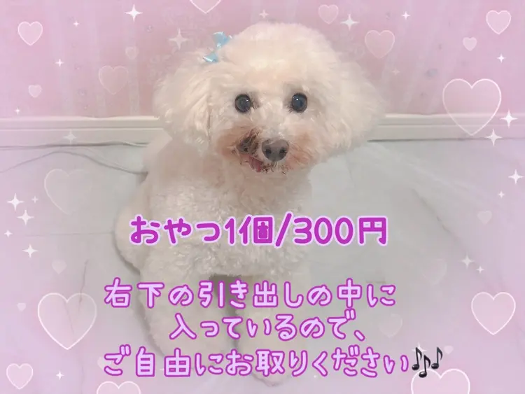 Beauty Salon Milkの内観・外観3