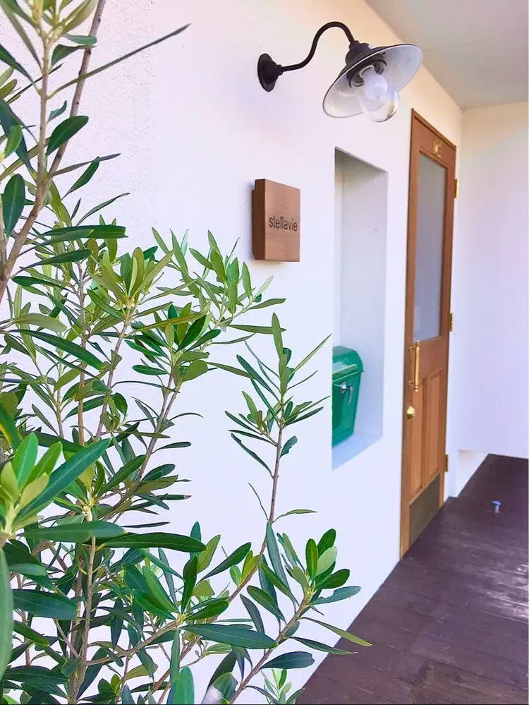 SOLUAの内観・外観1