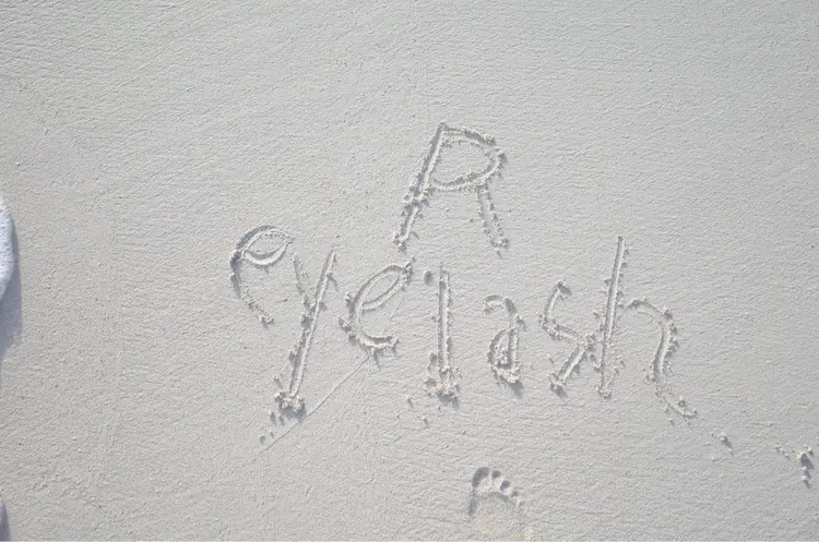 reyelashの内観・外観1