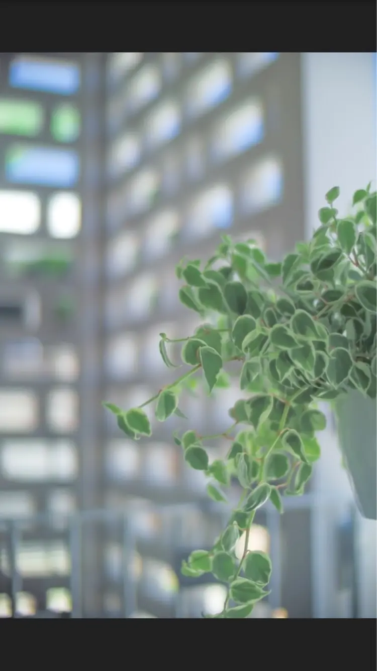 Auguspa〜オーガスパ〜の内観・外観2