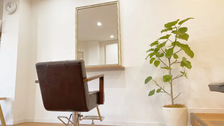 safe beauの内観・外観2