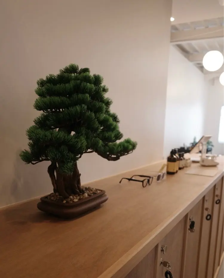 BROWNbyifの内観・外観1