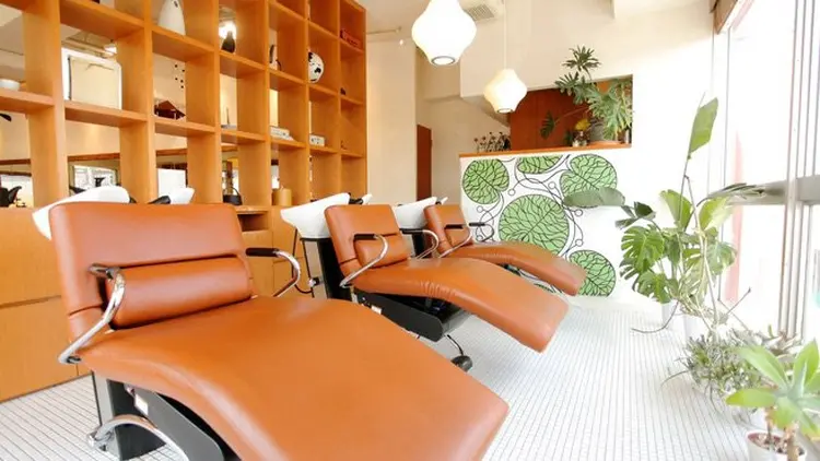 organic+mindの内観・外観3