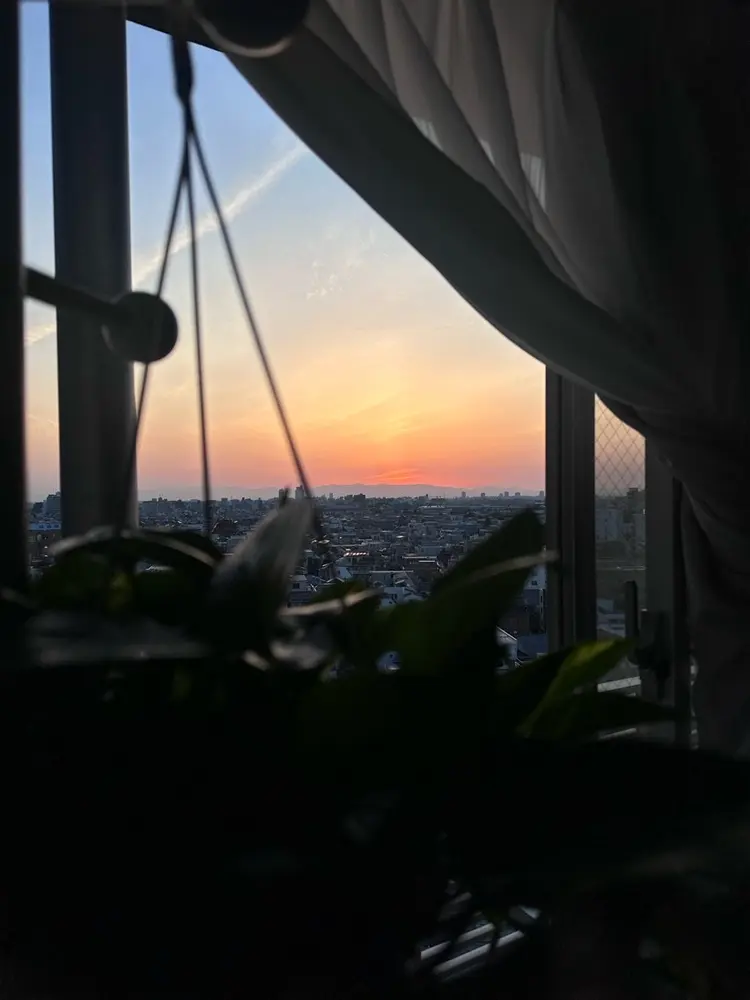 BLUE CORAの内観・外観3