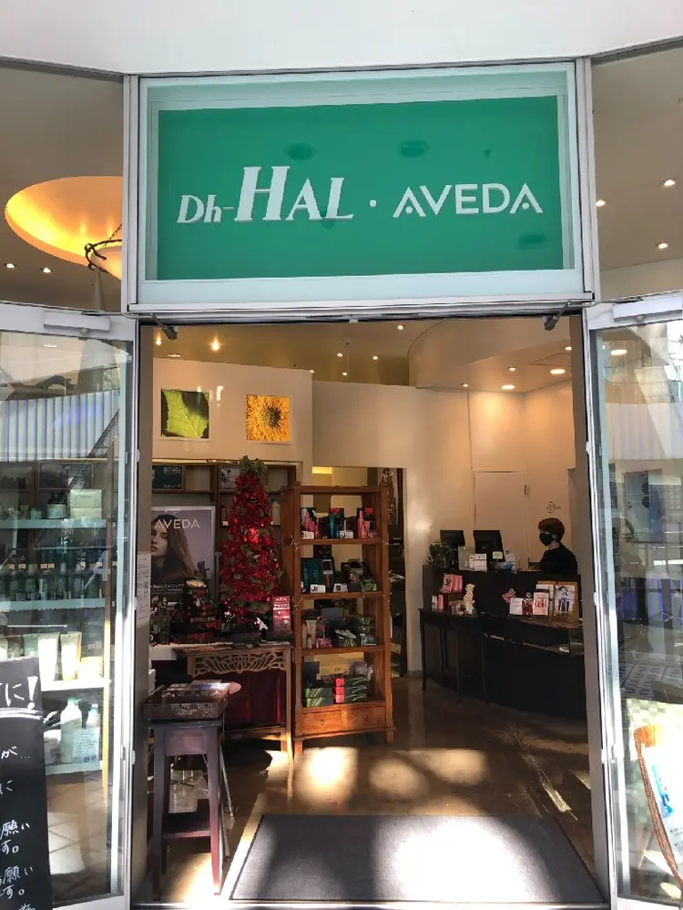 DH-HAL AVEDAの内観・外観1