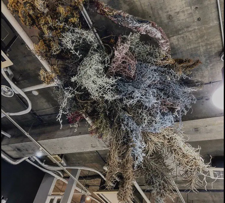 Pia hair Design Yakuinの内観・外観2