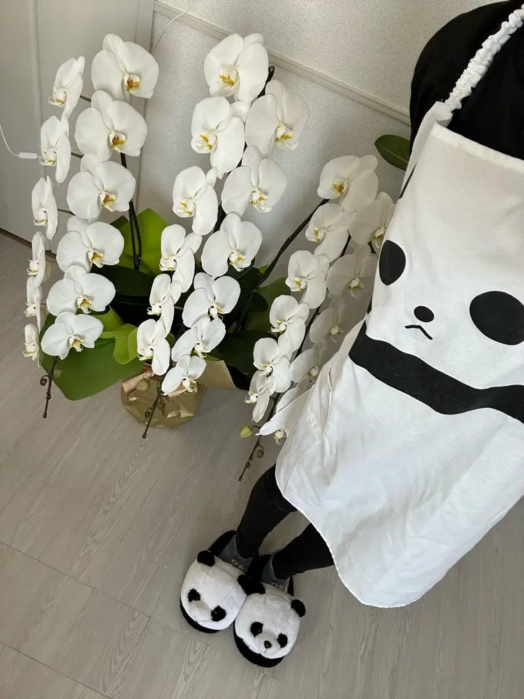 VENUS(ビーナス)の内観・外観2