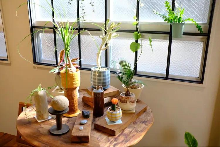 iriniの内観・外観3