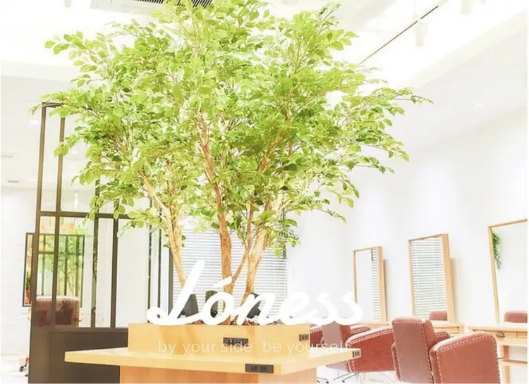 ローネス銀座店の内観・外観1