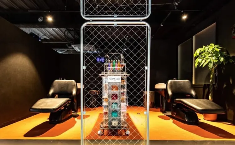 KISS SWANの内観・外観2