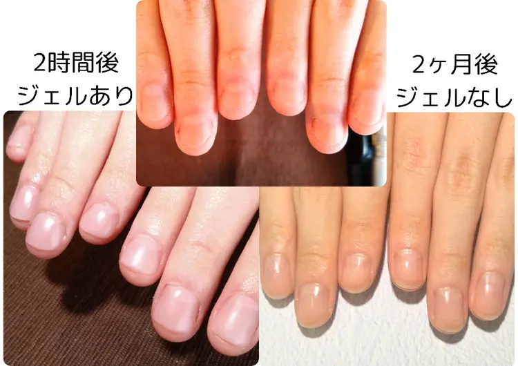 うたたねいるの内観・外観2