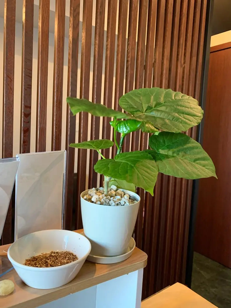 巻き爪補正店　福山店の内観・外観2