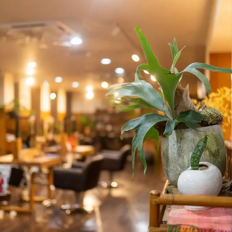 oshare tom (スタイリスト)の内観・外観3