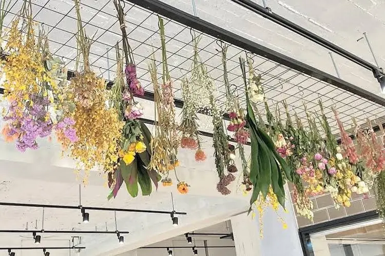 fostaの内観・外観2