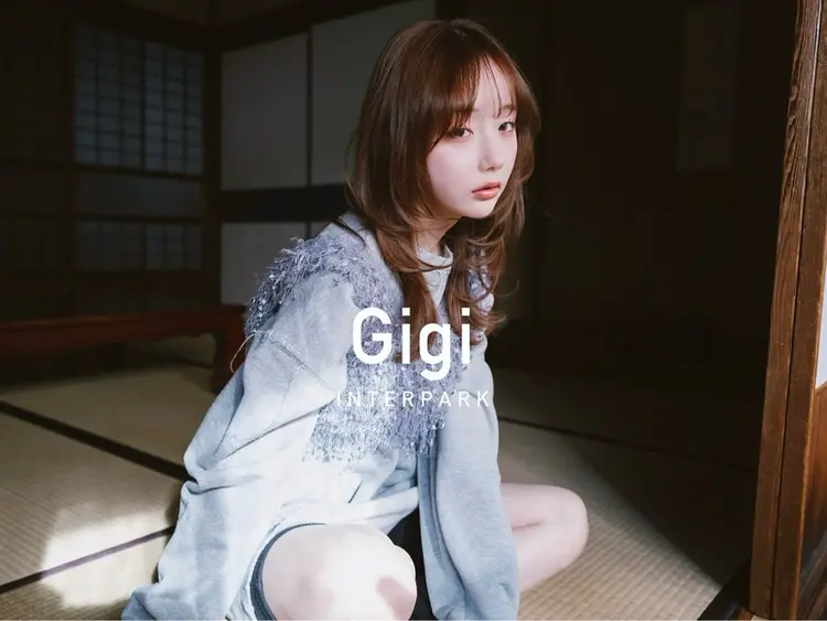 Gigi インターパーク 宇都宮の内観・外観1
